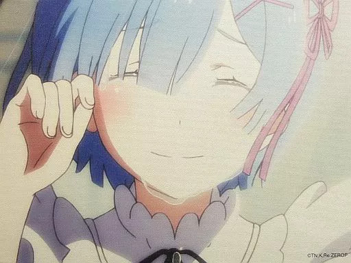 Re:Zero Starting Life Another World Original Illustration Board 13×9.5in Canvas