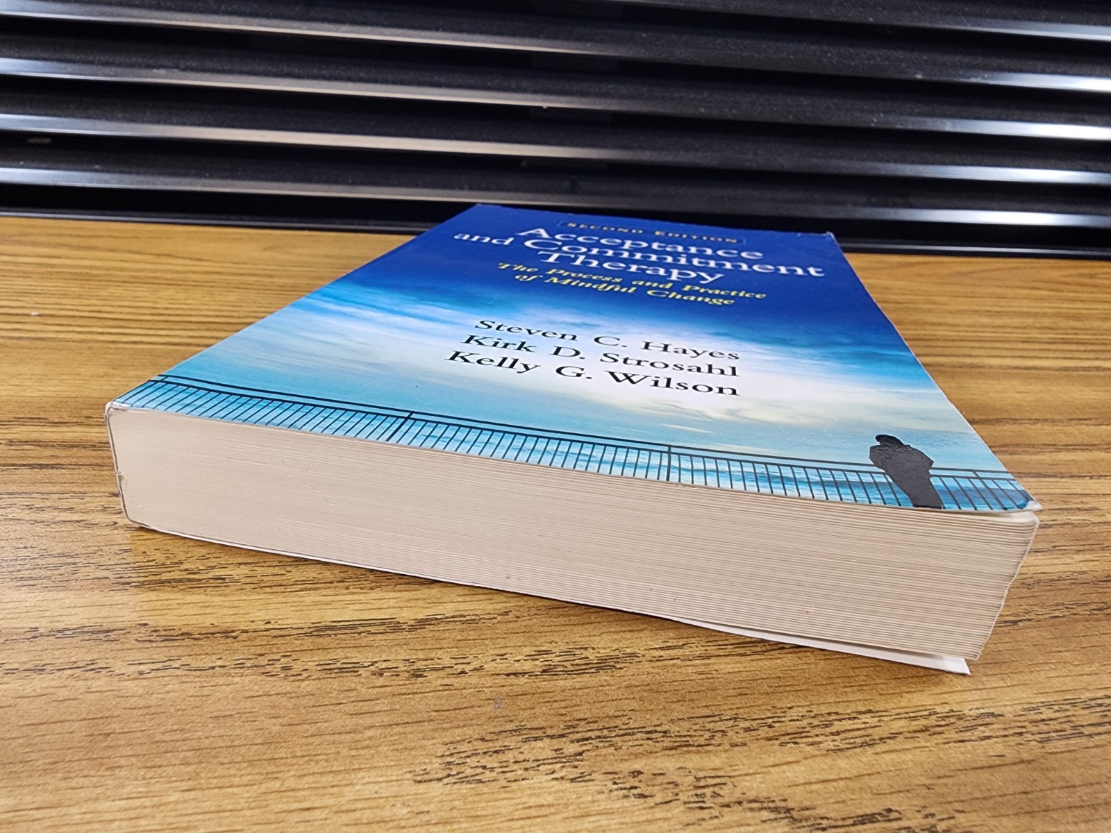 Acceptance and Commitment Therapy: The Process and Practice of Mindful Chang…