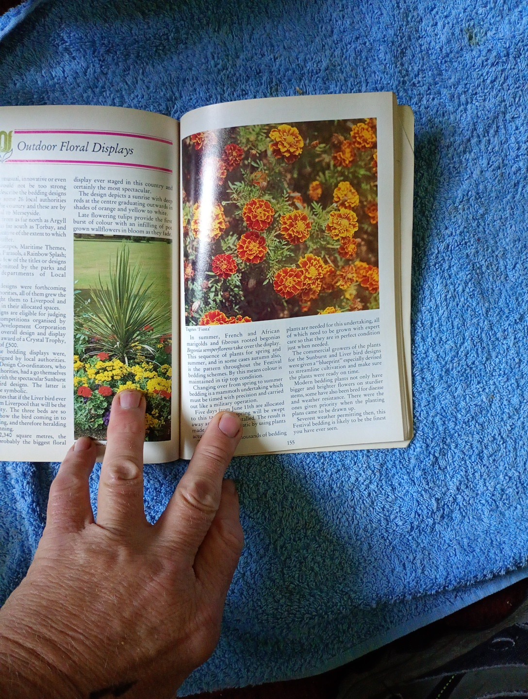 RD LIVERPOOL 84 GARDEN FESTIVAL GUIDE A BIT GRUBBY. BUT RARE 224 Pages