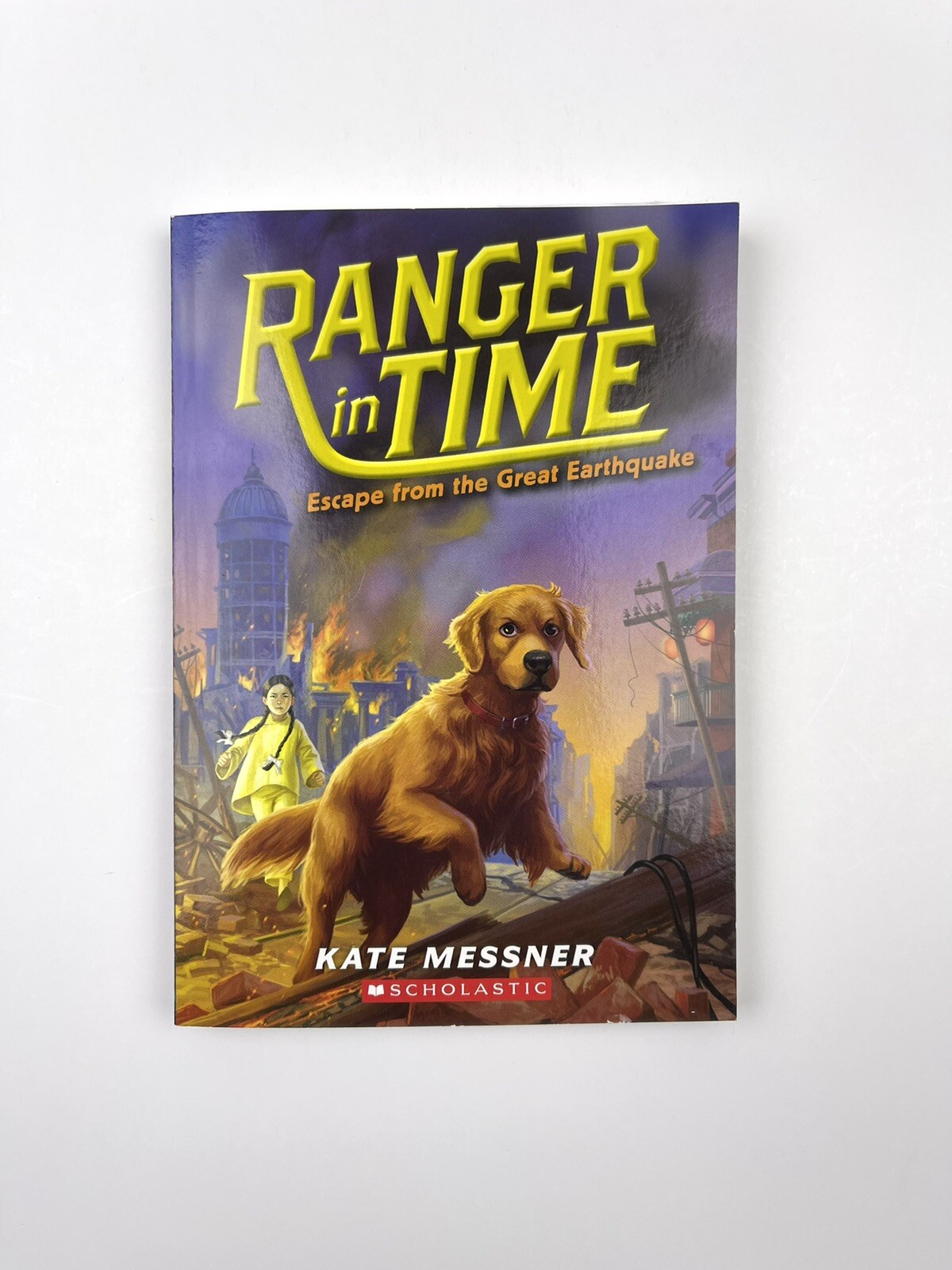 Dog Adventure Books, Ages 8-12, Grades 4th-6th, 4 Book Bundle / Lot Paperback