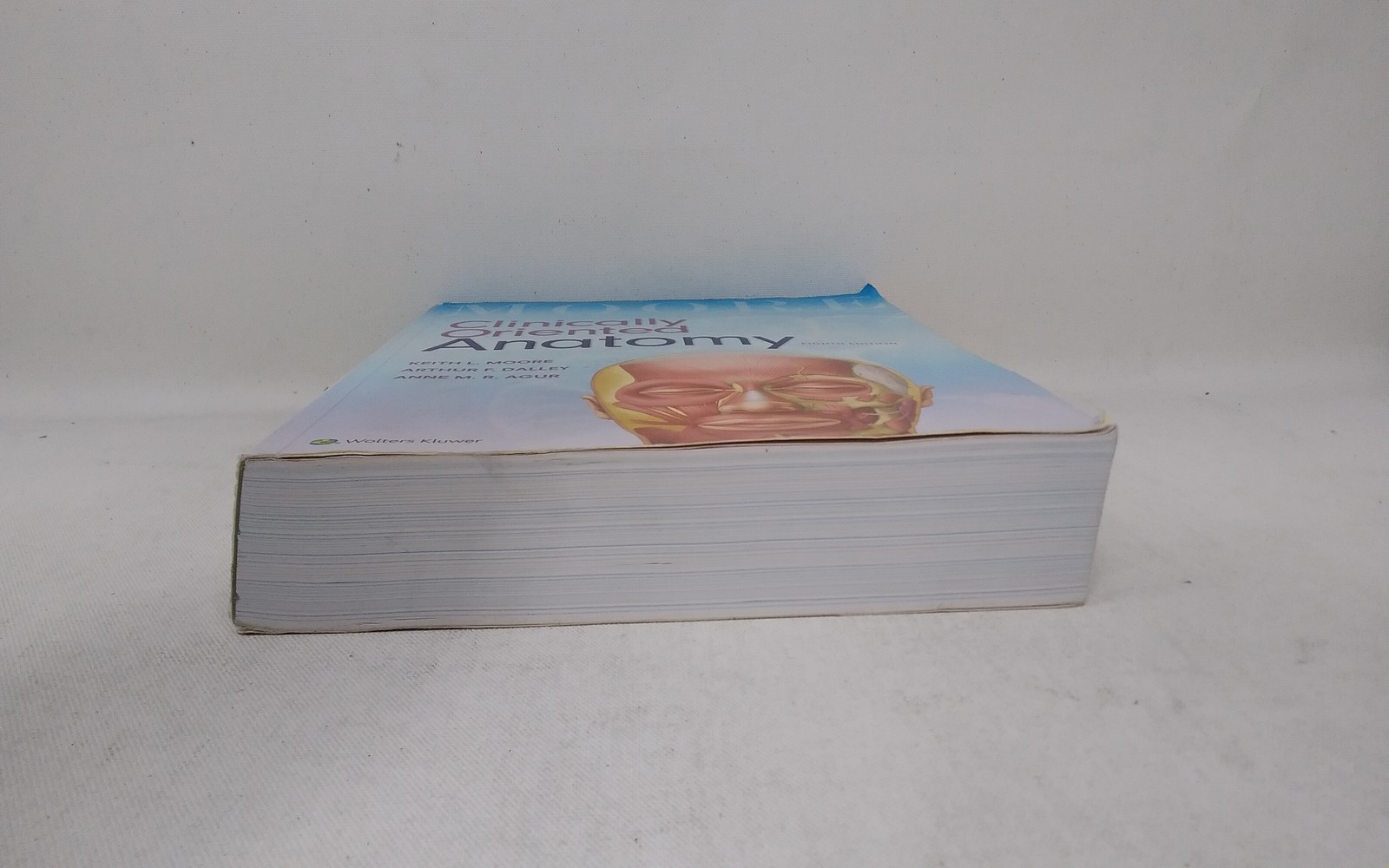 Moore Clinically Oriented Anatomy 8th Edition – Moore, Dalley, M. R. Agur