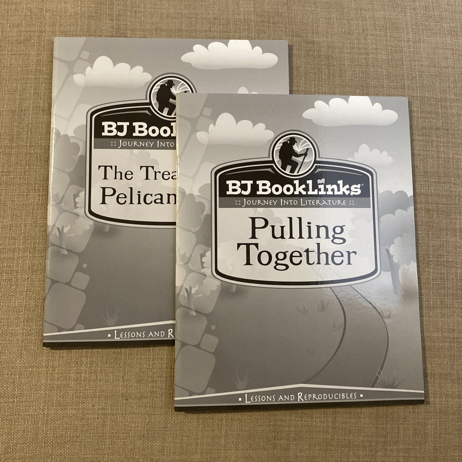 BJ Booklinks Pulling Together, The Treasure Of Pelican Cove Bju Press