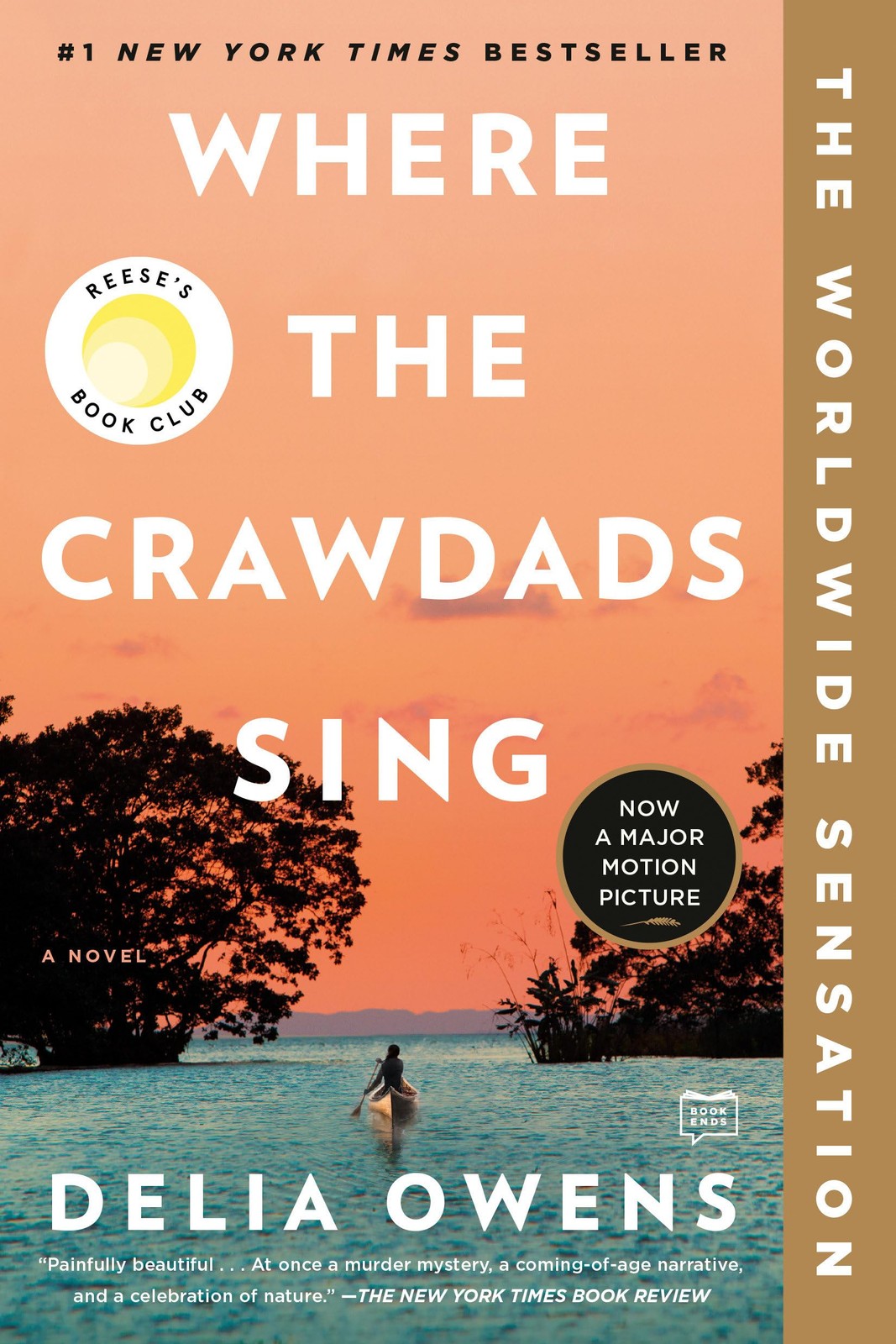 Where the Crawdads Sing A Coming of Age Murder Mystery and Nature Celebration