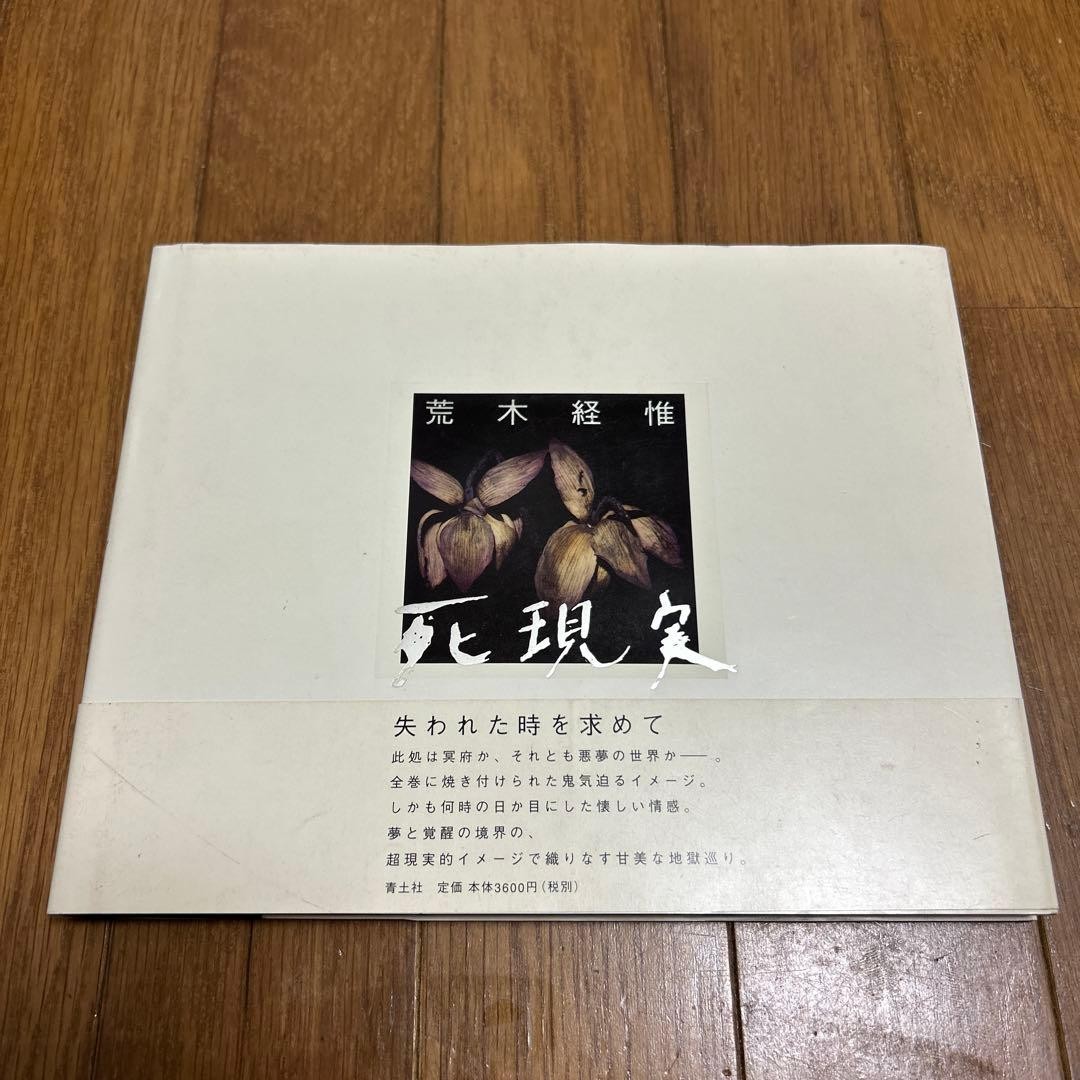 Nobuyoshi Araki Death Reality Art Book 1997 19×23 cm with obi hardcover