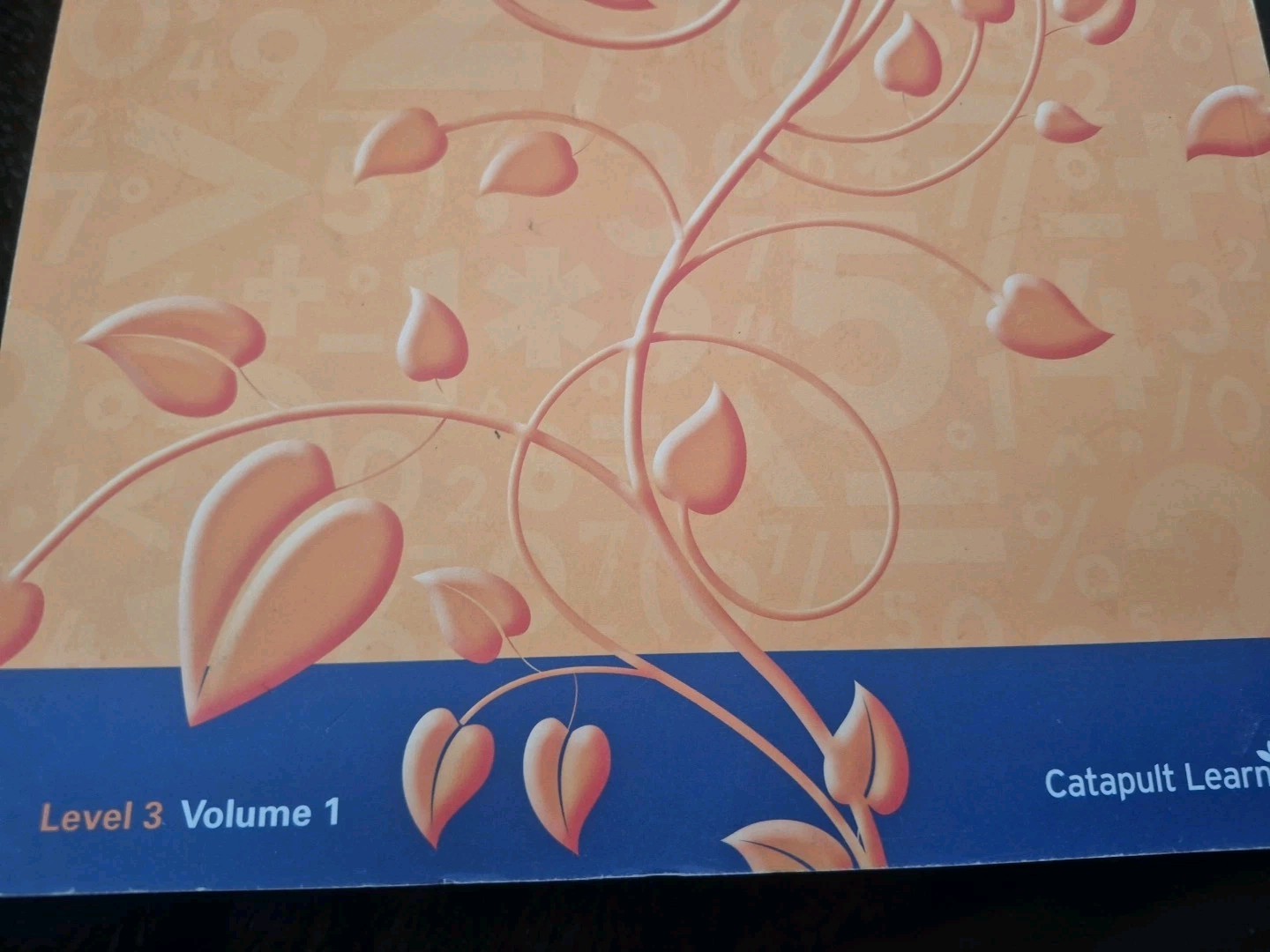 Catapult Learning Achieve Math Student Book Level 3 Volume 1