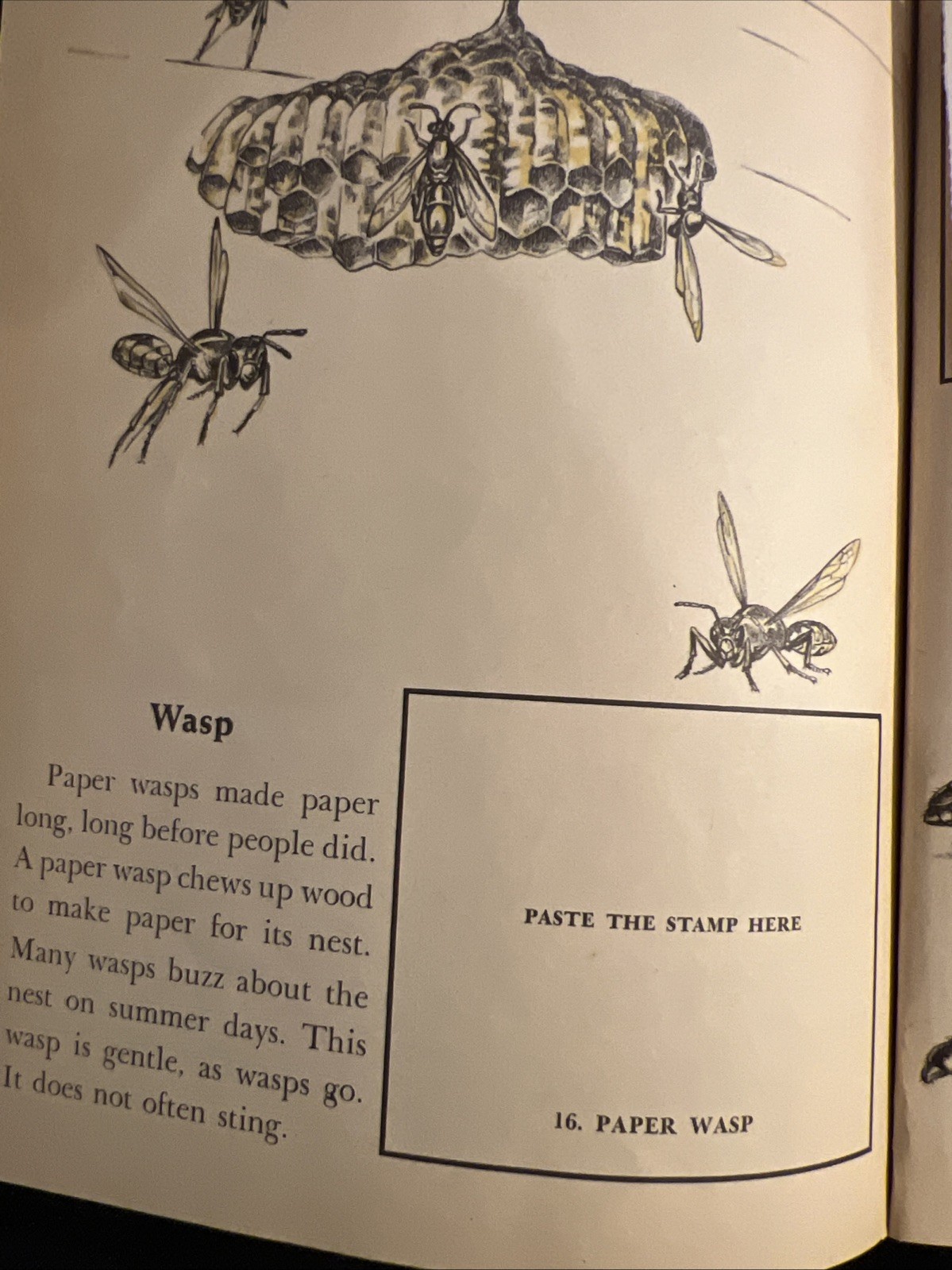 Vintage A Little Golden Activity Book Insect Stamps 1958 A25 .25 #5123