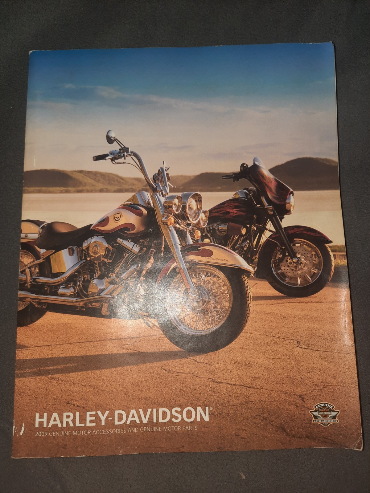 2009 HARLEY-DAVIDSON GENUINE MOTOR ACCESSORIES & MOTOR PARTS Catalog 822 Pages!