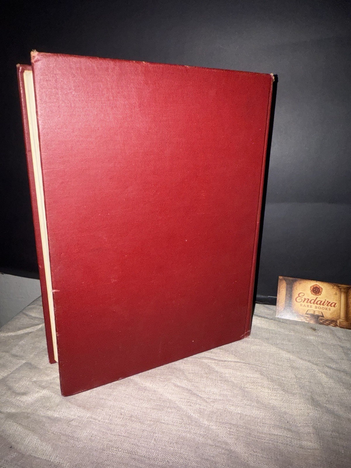1920 Technology’s War Record MIT Alumni WWI Service Commemoration Antique Book