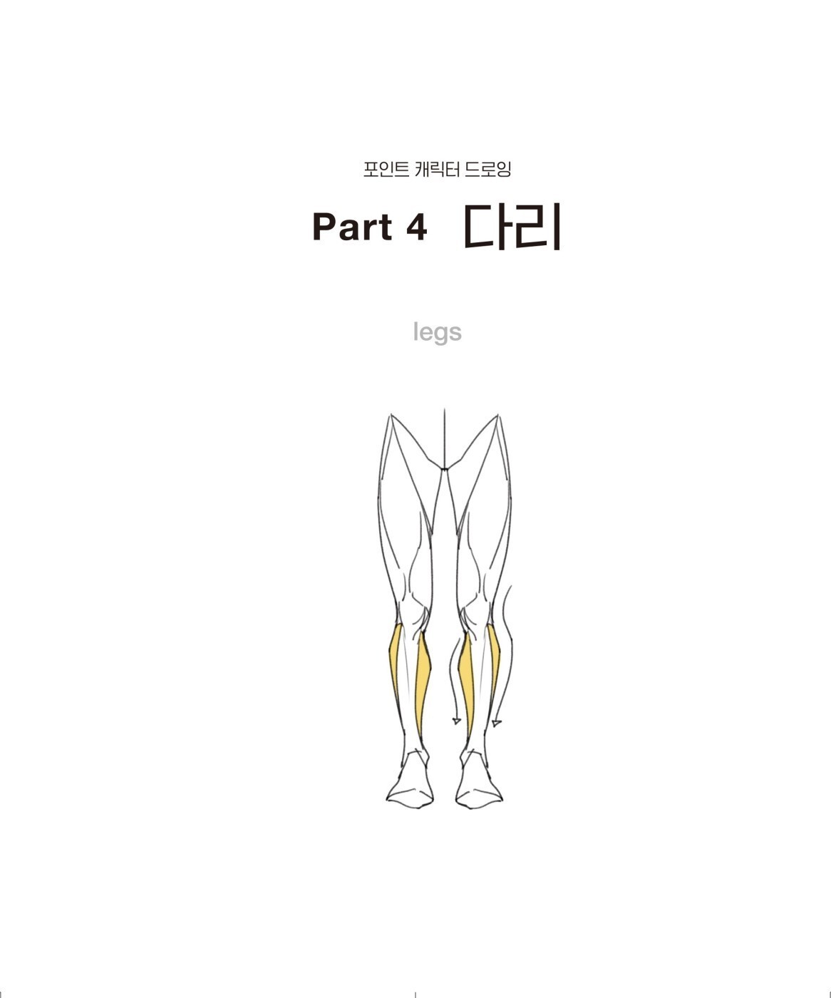 Point Character Drawing by Taco 포인트 캐릭터 드로잉 Total 2 Books Set (Korean) 한국어