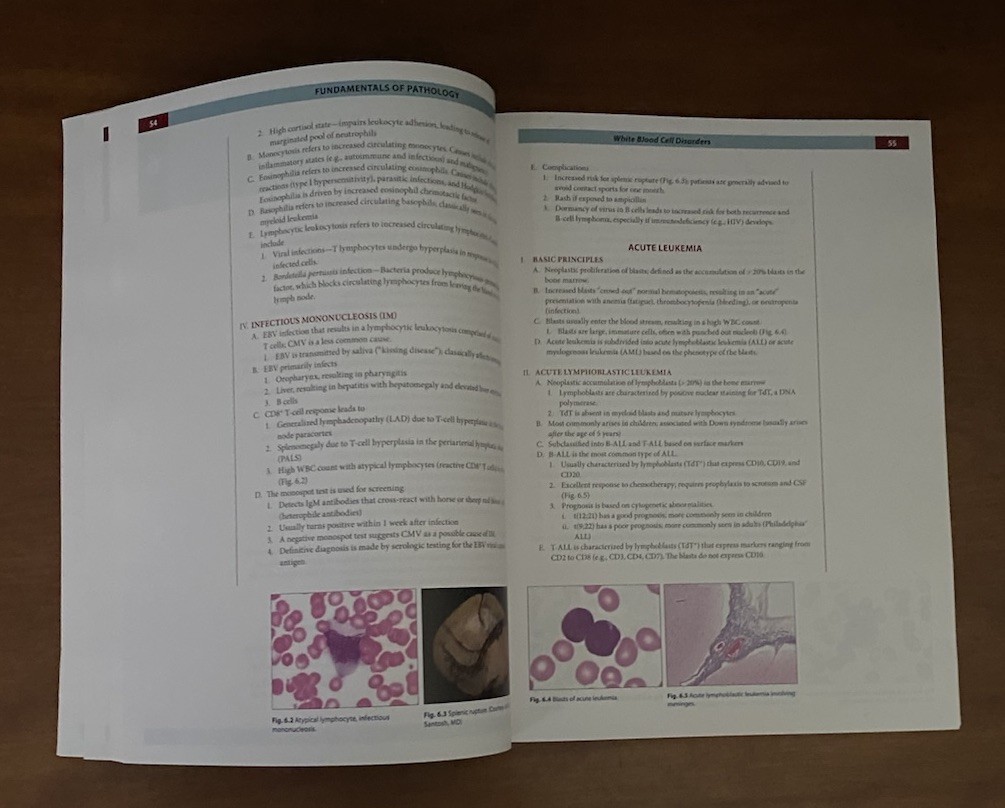 Pathoma Fundamentals of Pathology 2019 Husain A Sattar