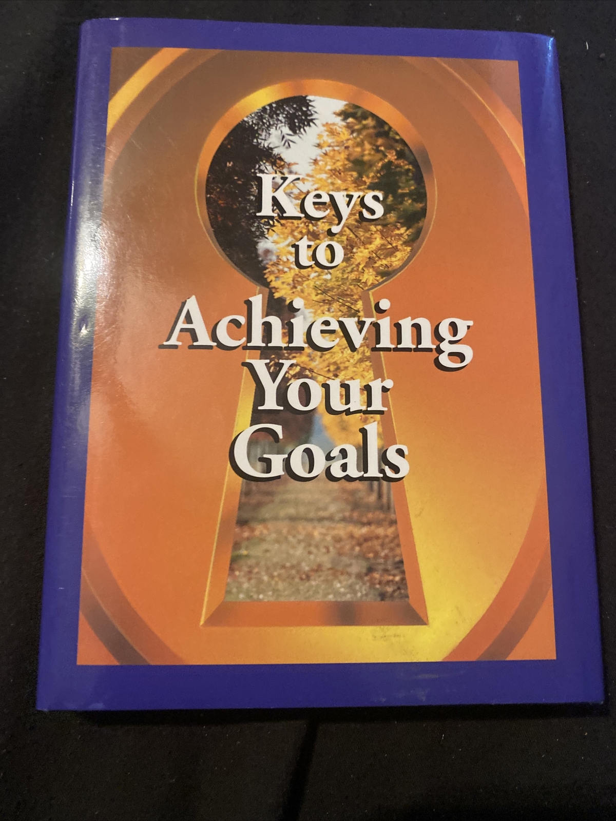 Keys to Achieving Your Goals by Mary Crisorio (1999, Hardcover)