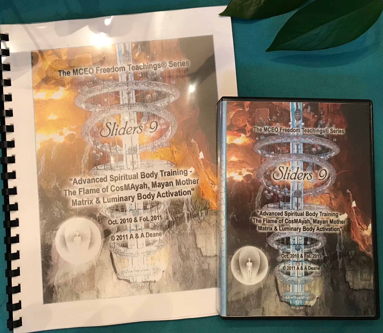 VOYAGERS, ASHAYANA DEANE, Sliders 9 DVD’S, Complet4 Discs) & Booklet, 36 Pages