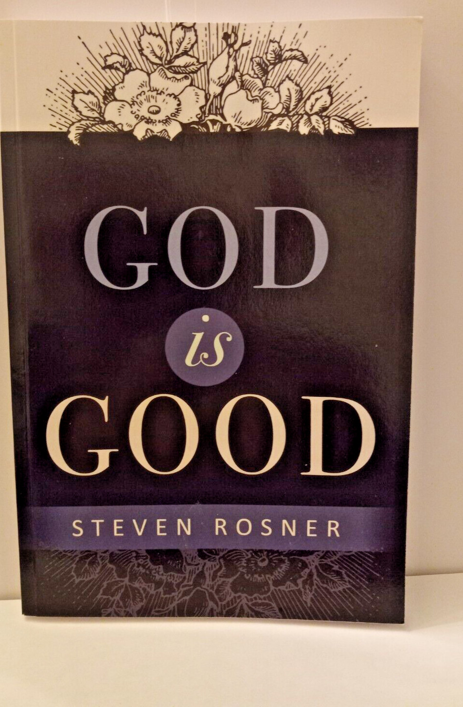 GOD IS GOOD AUTHOR STEVEN ROSNER COVER BY AUDREY ROSNER 2016 206 PAGES