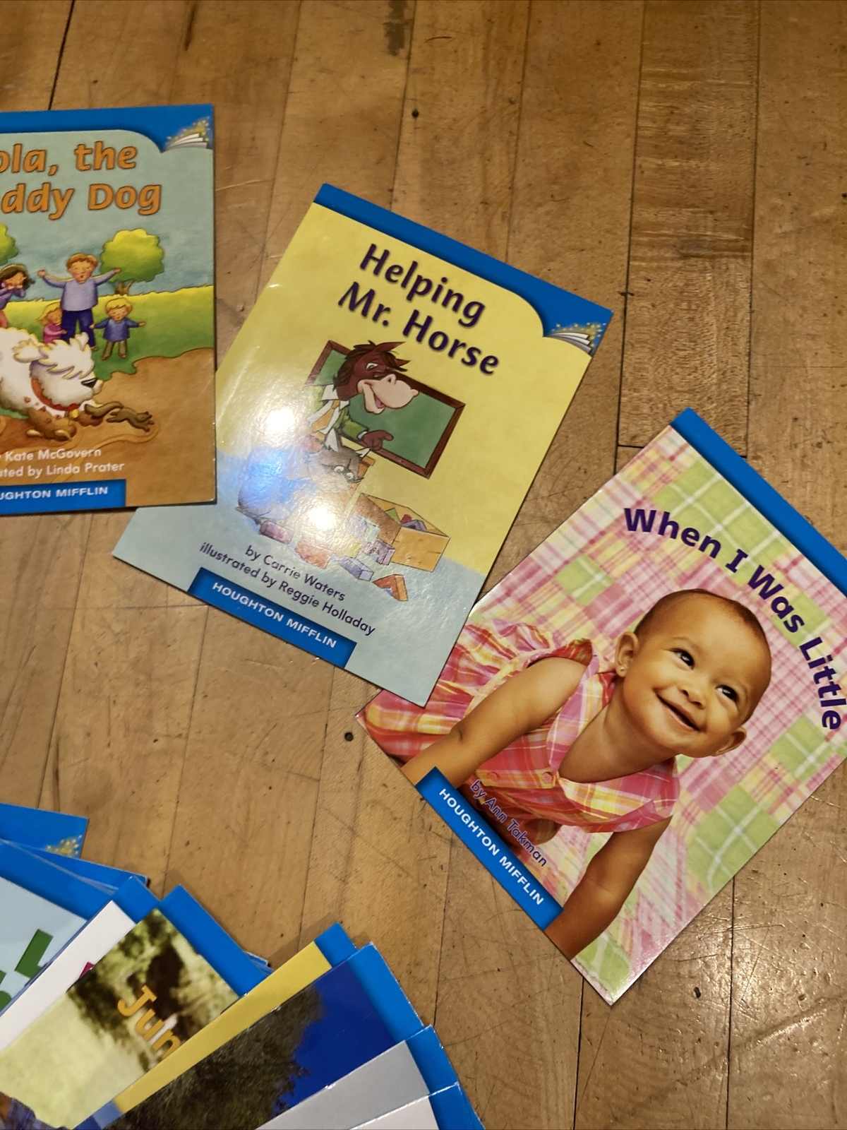 Journeys Houghton Mifflin Leveled Readers Grade K Above Level Set of 30 Blue Sq.
