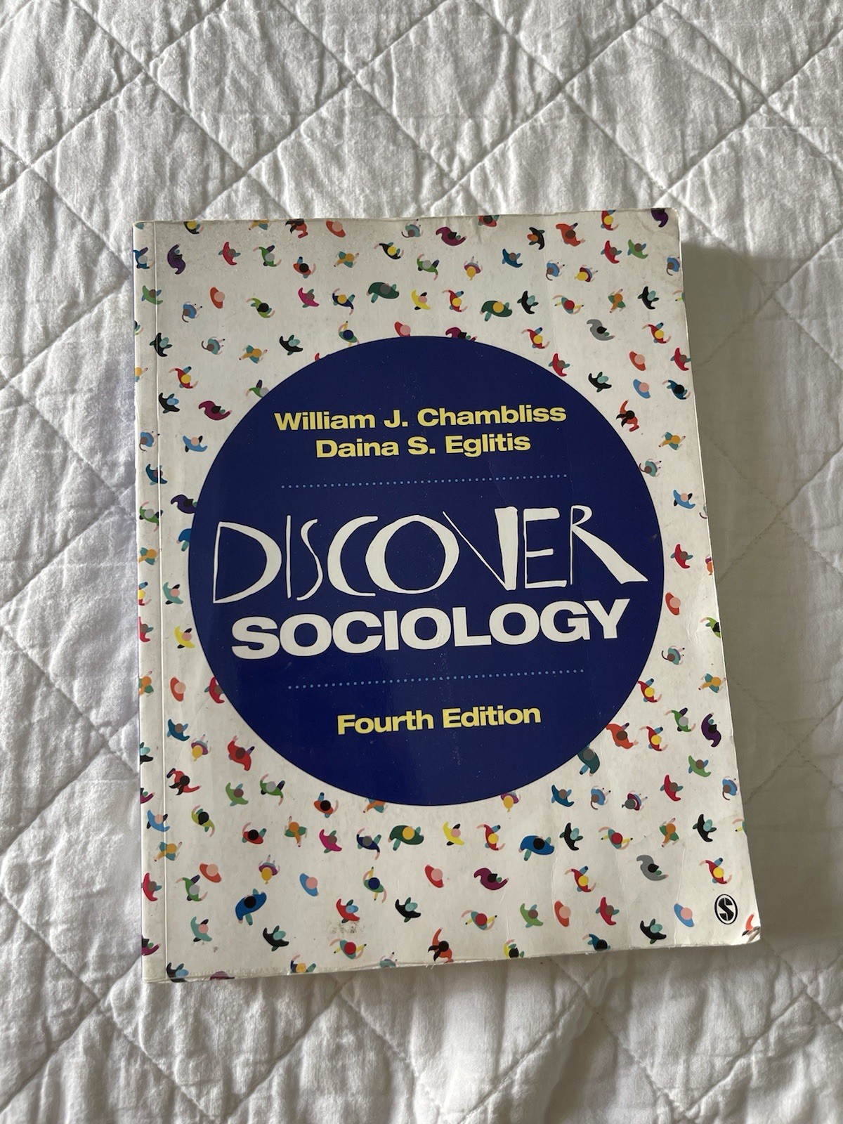 Discover Sociology by Daina S. Eglitis and William J. Chambliss (2019 NEW OTHER