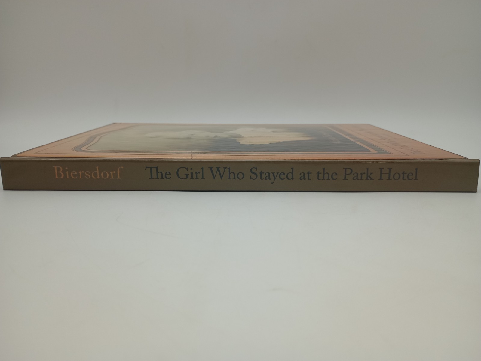 The Girl Who Stayed at the Park Hotel, Minnesota Family Memoir, SIGNED Biersdorf
