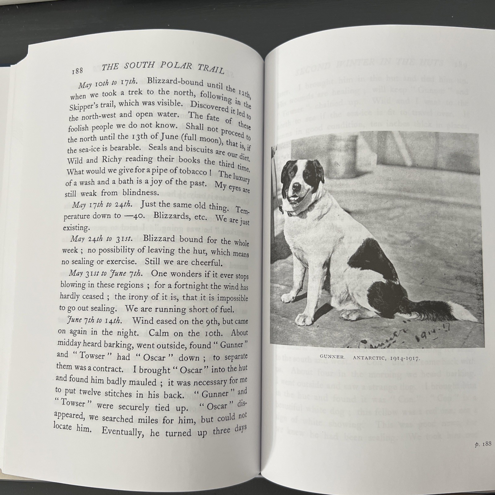 The South Polar Trail – Log of Ernest Mills Joyce (ITAE) Erskine Press (2017)