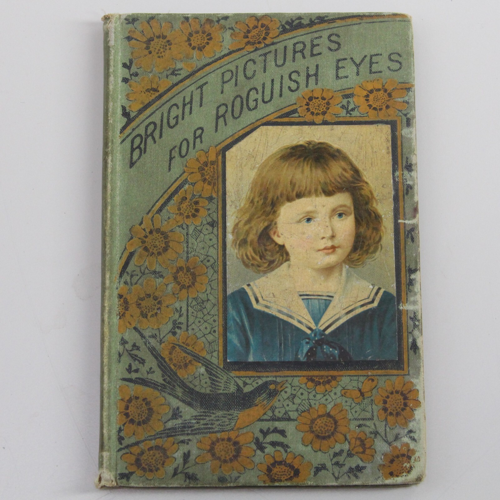 Bright Pictures For Roguish Eyes With Pretty Stories 1885 HC 6&Prime; x 4&Prime; x .25&Prime;