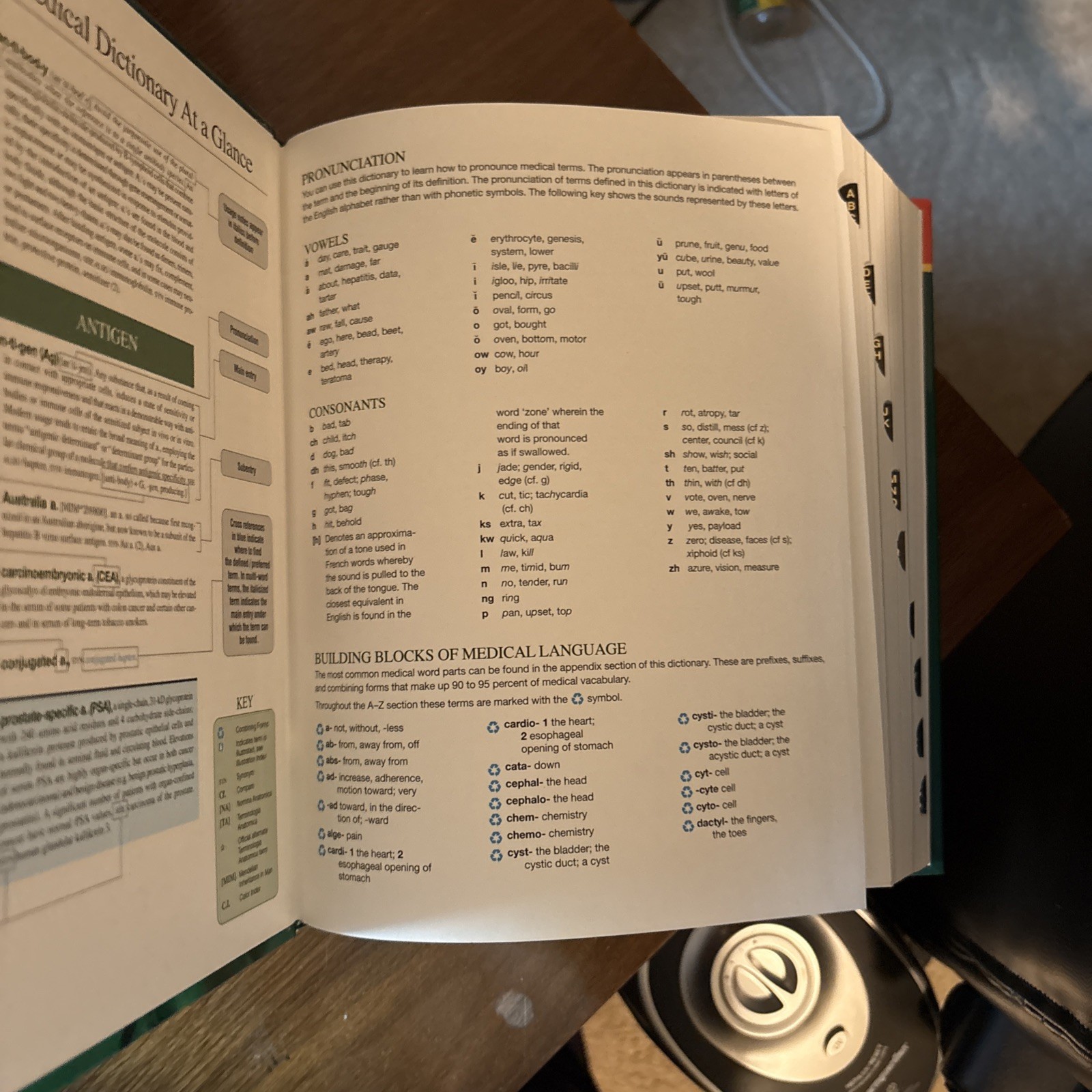 Stedman&rsquo;s Medical Dictionary 28th edition with CD-ROM 100 OZ. Color