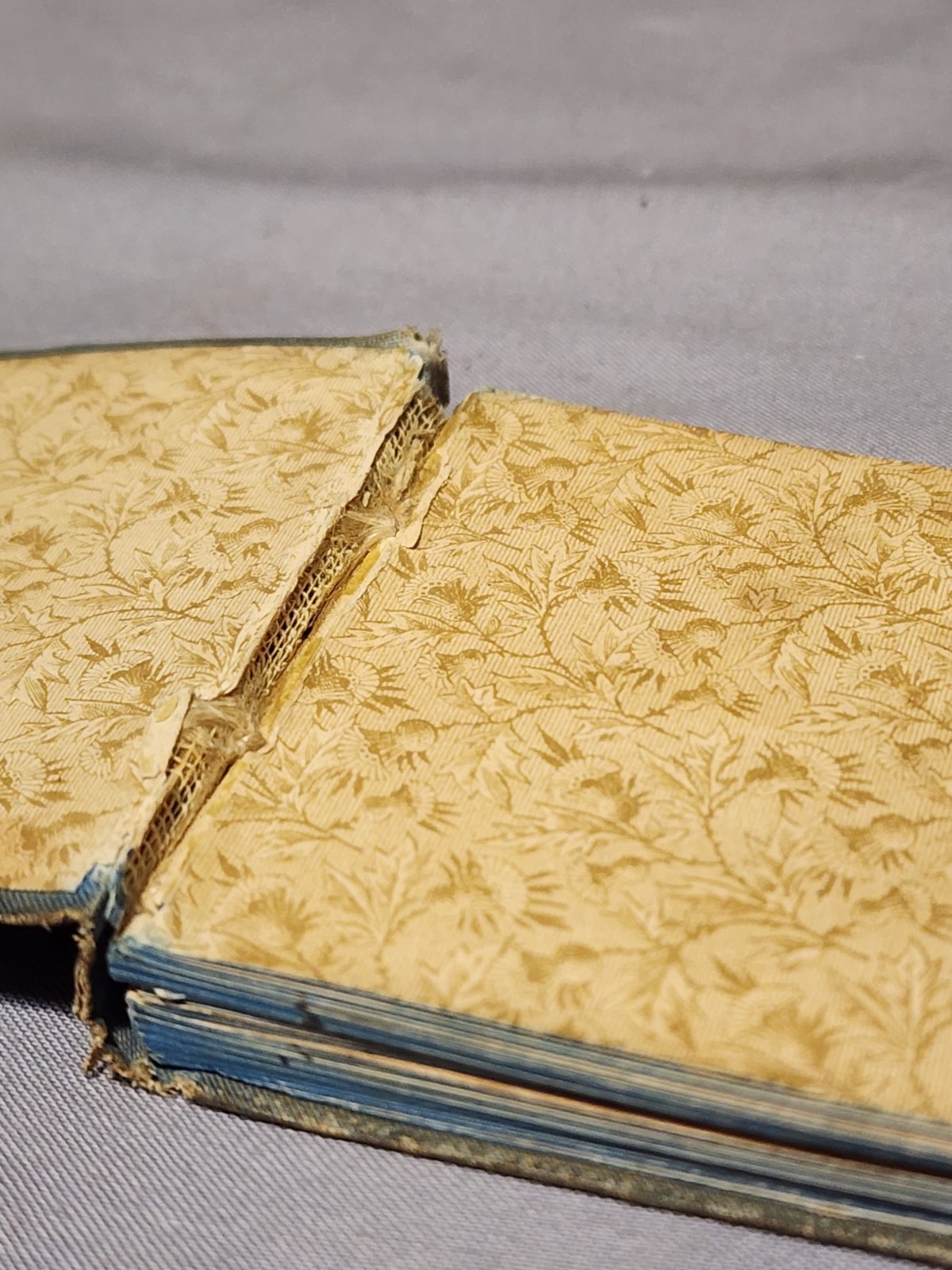 Antique 1900&rsquo;s Bible Forget-Me-Nots By Morning & Night Watches Mini Book