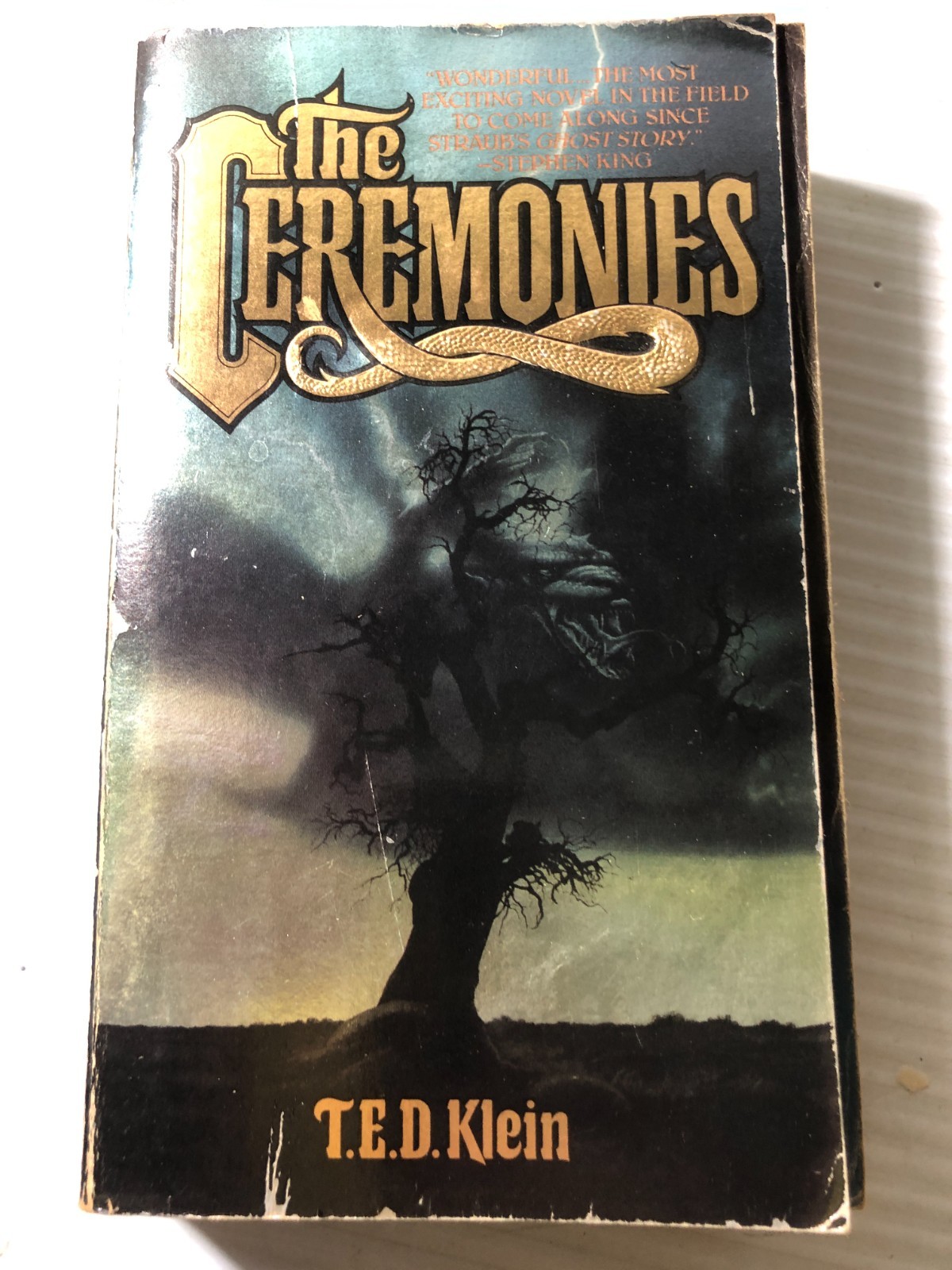 b T.E.D. Klein THE CEREMONIES 1985 First Bantam Edition