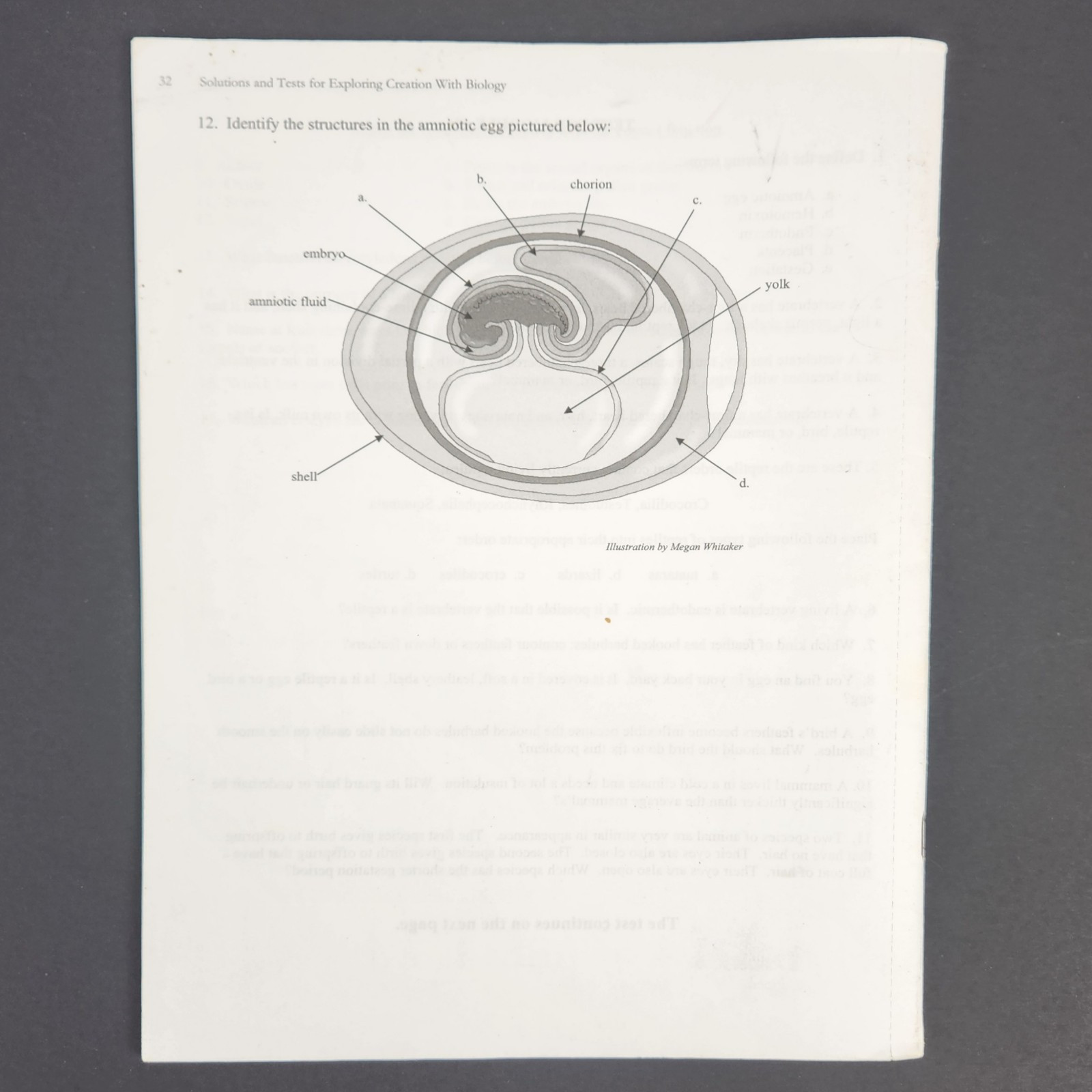 Exploring Creation with Biology : Student Text by Marilyn F. Durnell and Jay L.