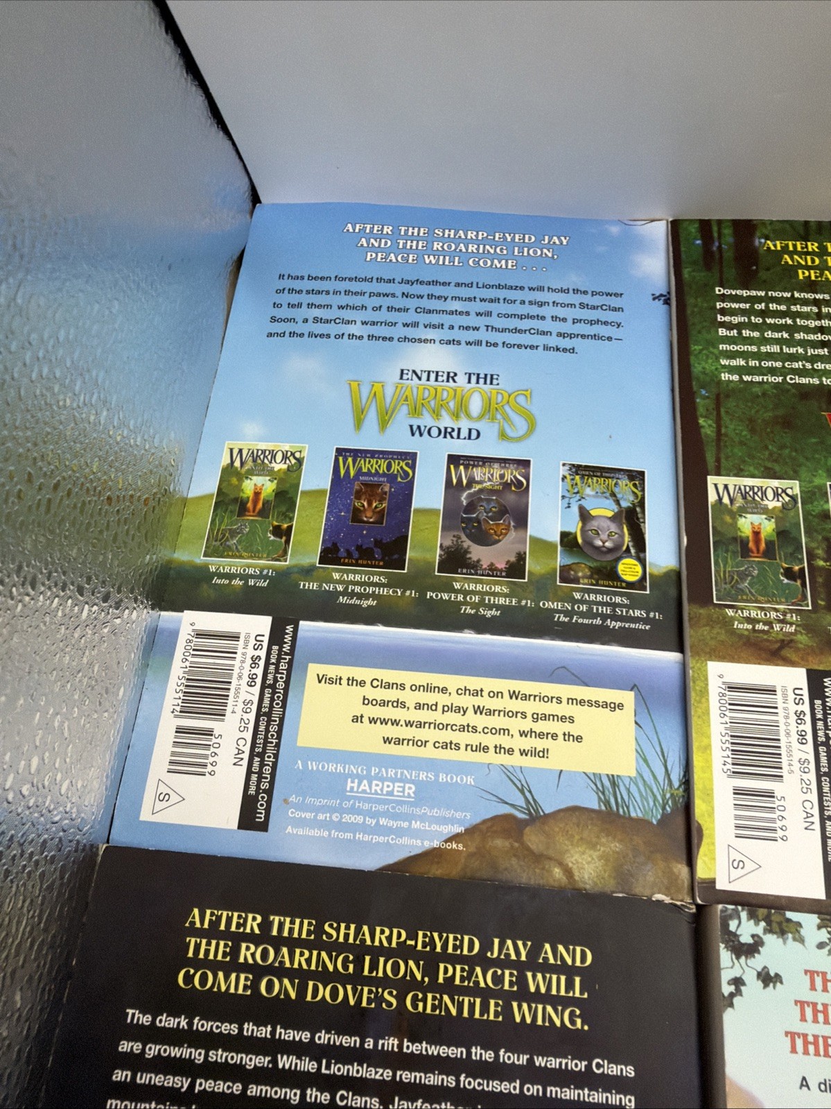 Warriors: Omen of the Stars Box Set: Volumes 1 to 6