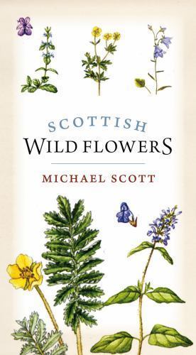 Scottish Wild Flowers
