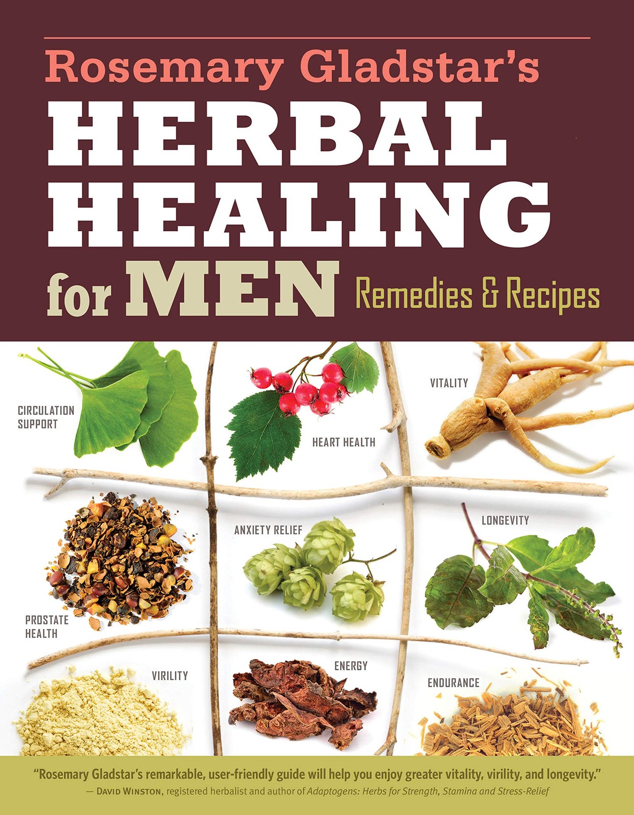 Rosemary Gladstar&rsquo;s Herbal Healing for Men