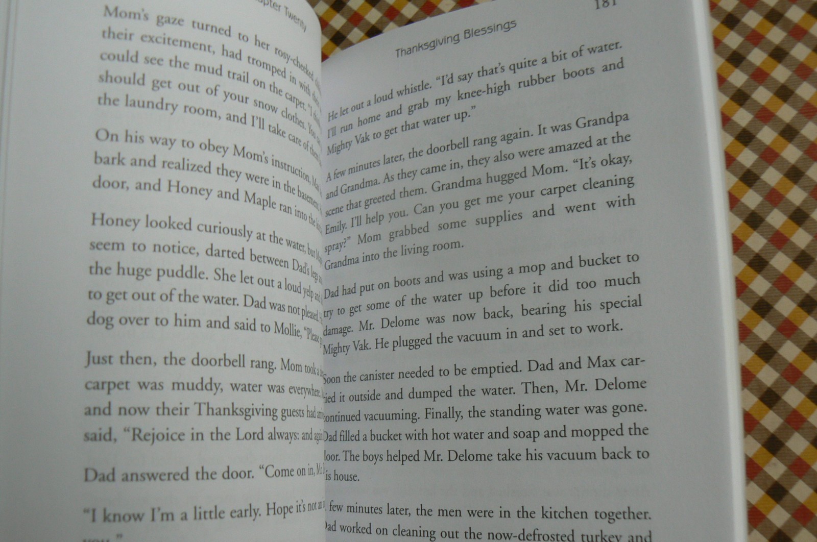 AUTUMN with the Moodys-Book 2 Moody Family Series, Sarah Moxwell, PB