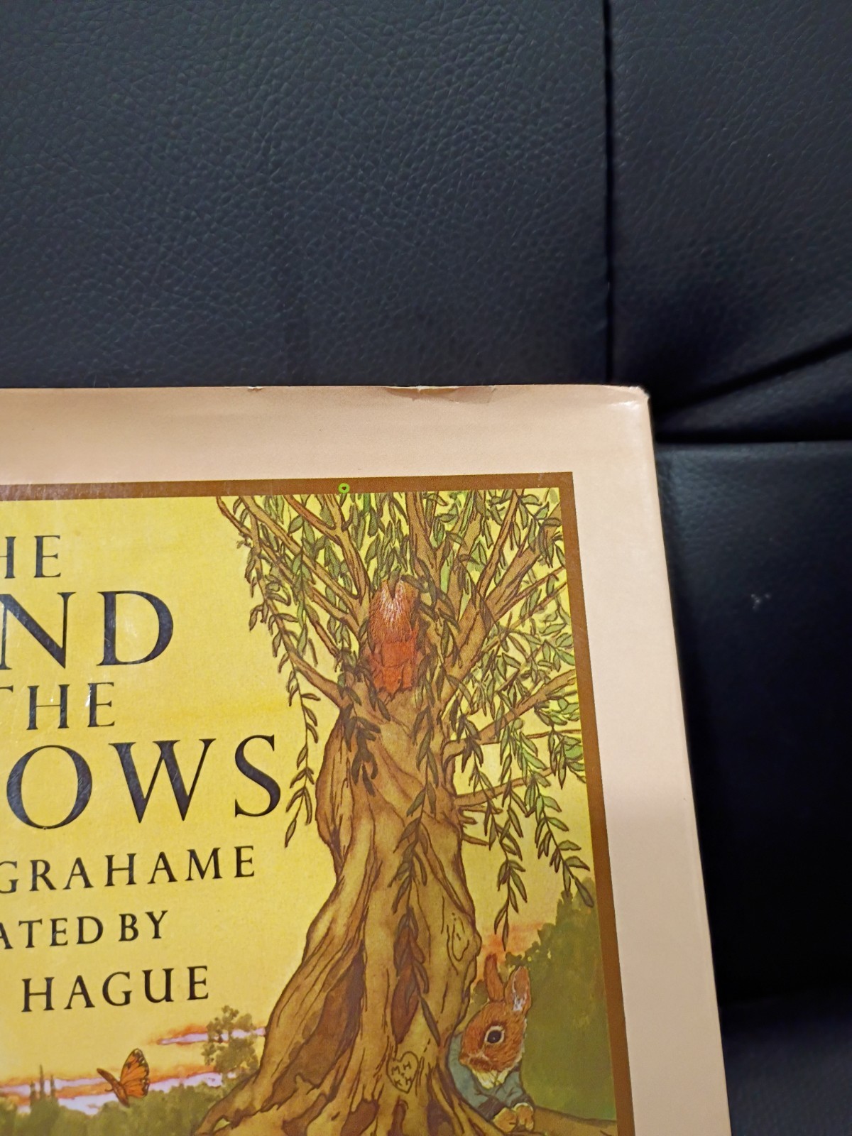 1980 The Wind in the Willows 1st Ed w/ Dust Jacket Kenneth Grahame Michael Hague