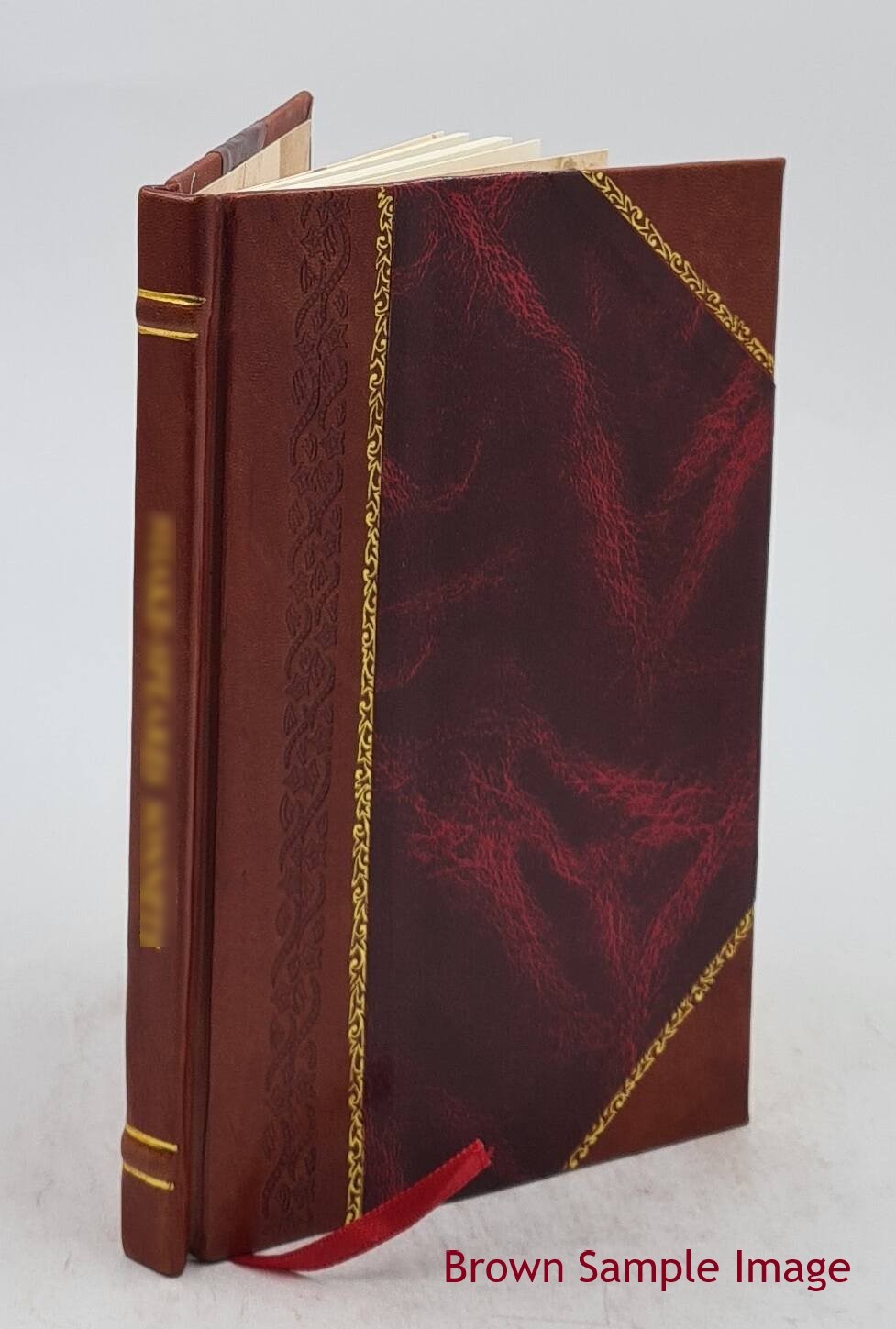 The Art Of Lettering And Sign Painter&rsquo;S Manual : A Complete And [Leather Bound]