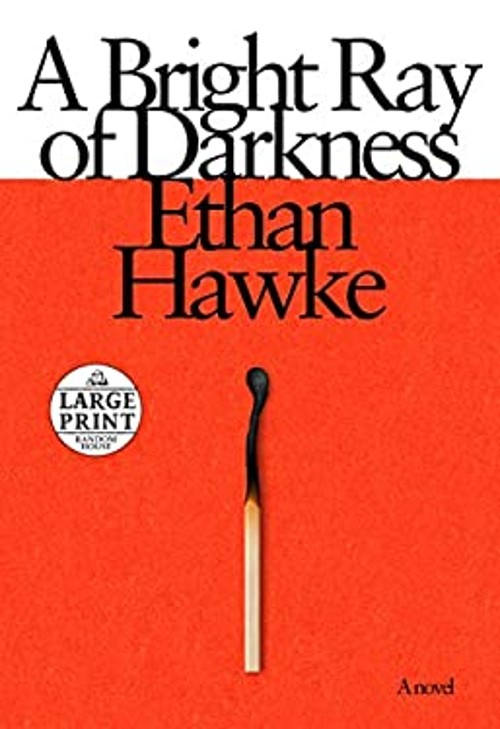 A Bright Ray of Darkness : A Novel Paperback Ethan Hawke