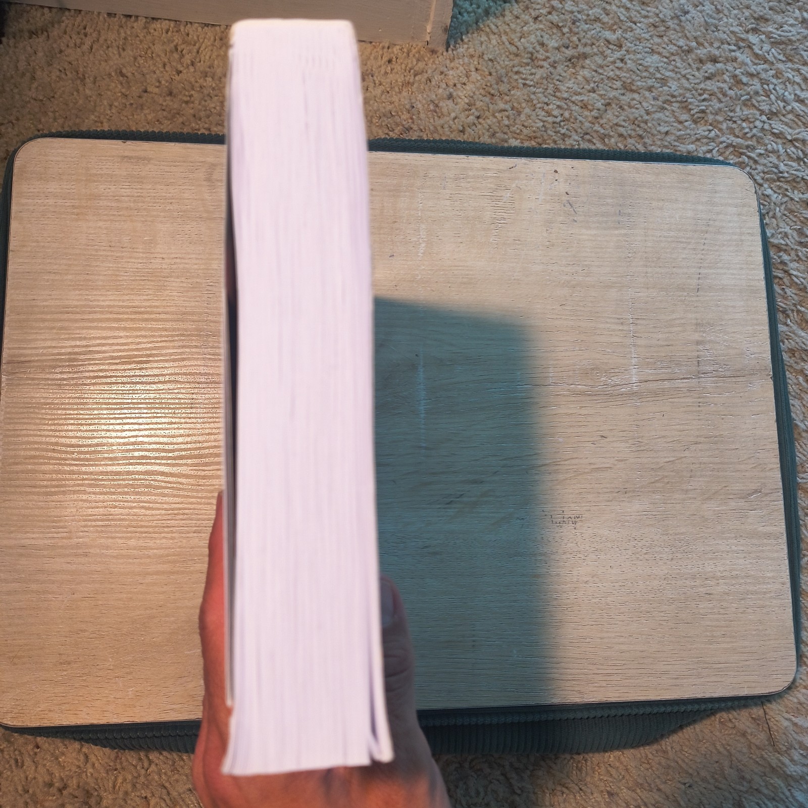 House of Leaves by Mark Z. Danielewski Trade Paperback