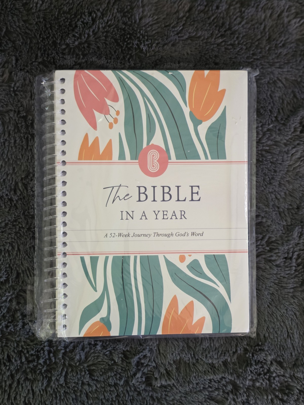 The Bible in A Year: 52 Week Guided Bible Study & Daily Reading Plan