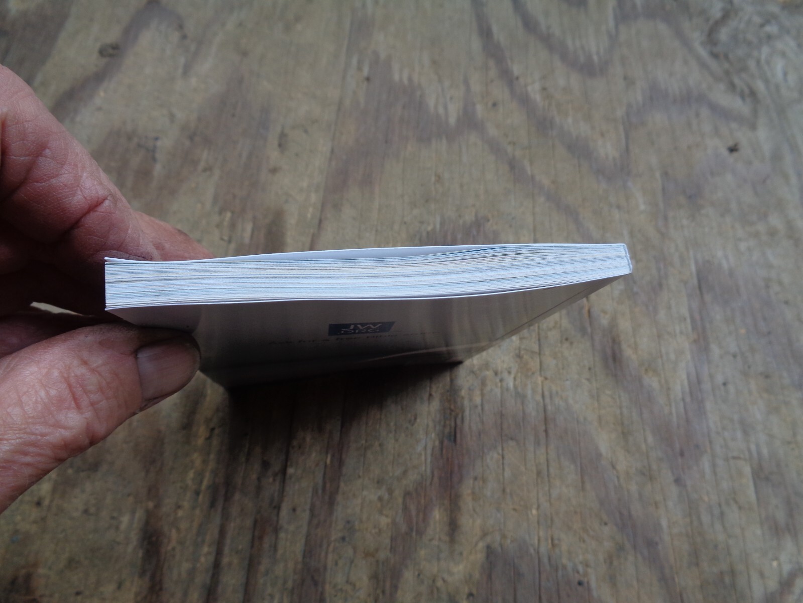 « WHAT DOES THE BIBLE REALLY TEACH? ». 2016. 223 pages. Paperback. Watchtower