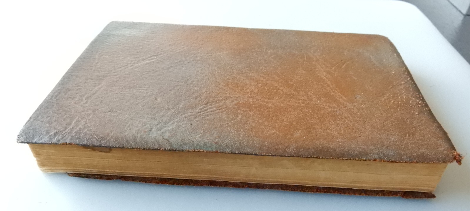 ROBERT BROWNING’S POEMS printed 1896, 512 pages – all pages are intact