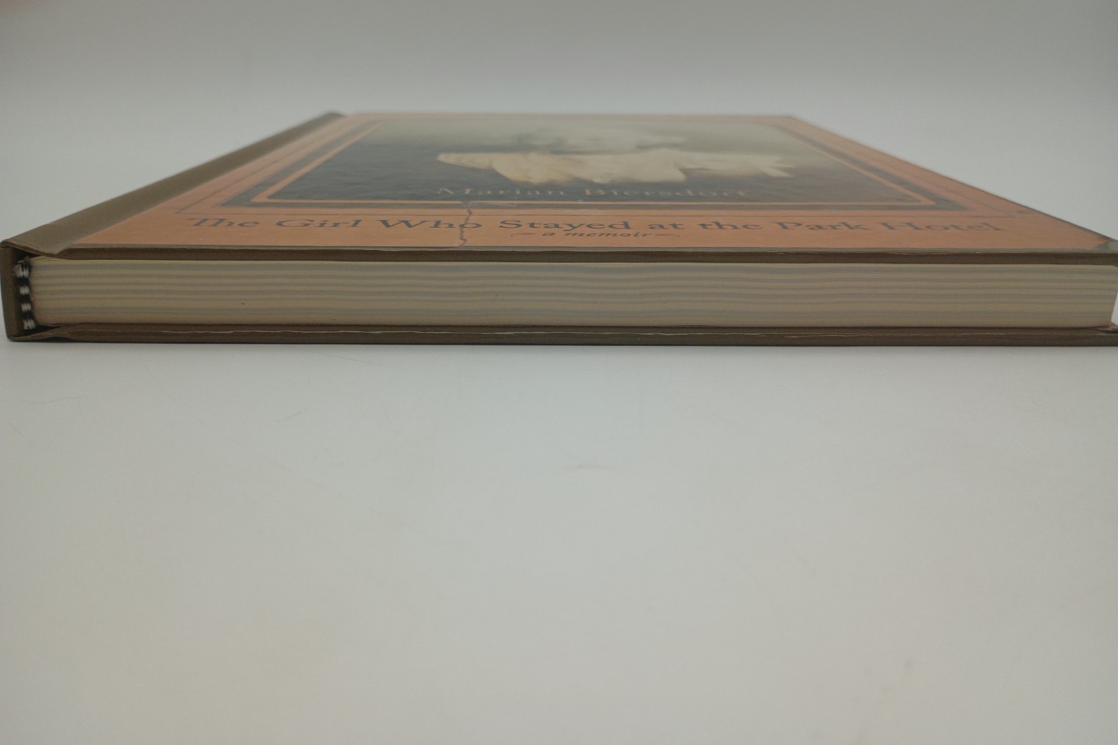 The Girl Who Stayed at the Park Hotel, Minnesota Family Memoir, SIGNED Biersdorf