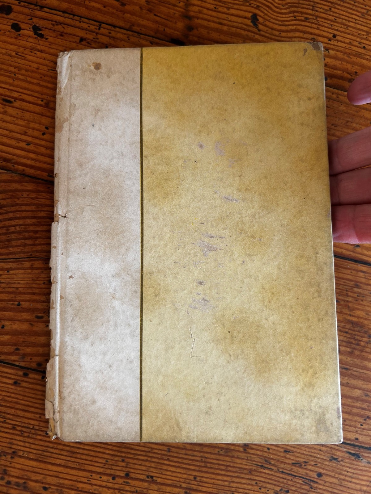 Thoughts for Companions – 1910 – Cupples & Leon – Gift Book Floral Art