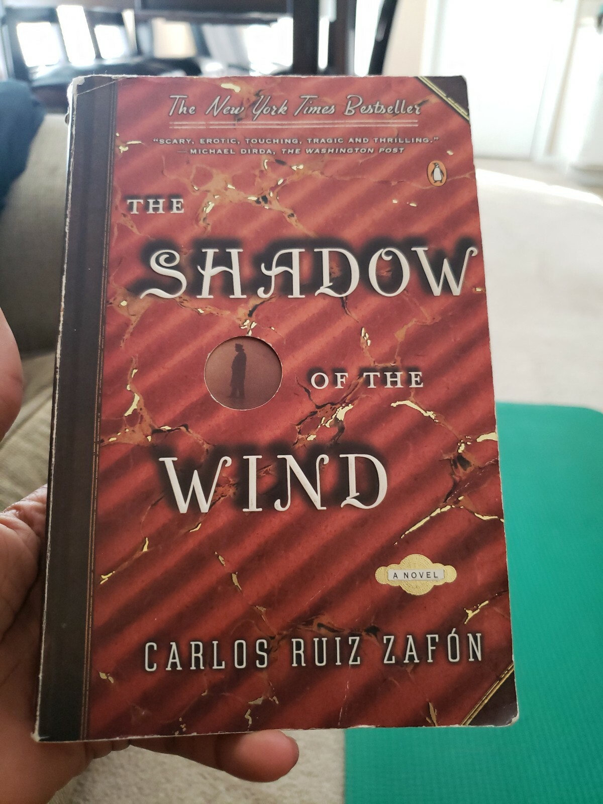 The Shadow of the Wind by Carlos Ruiz Zafn