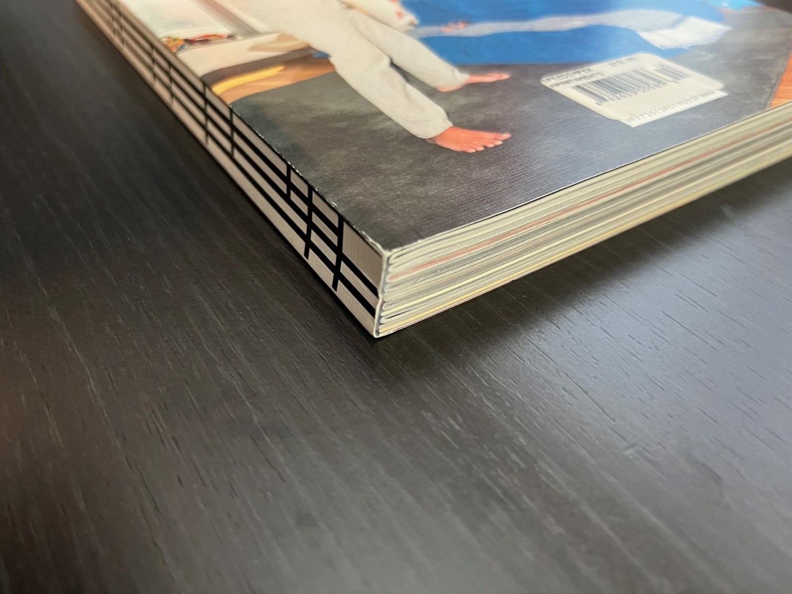 MINT* Apartamento Magazine Issue 14 Raymond Pettibon Peter Halley art 2014-2015