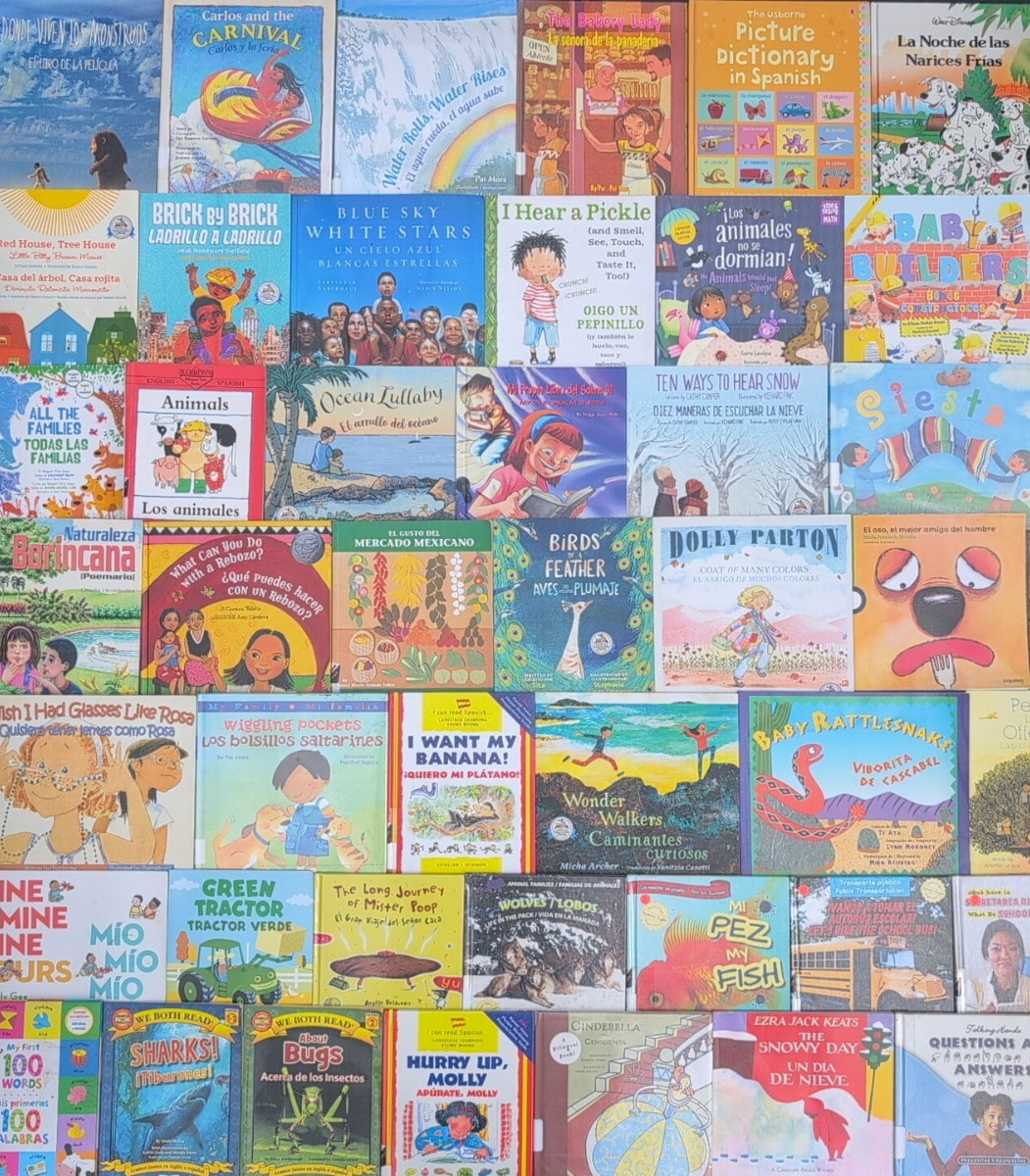 RANDOM MIX Lot of 10 BILINGUAL Spanish AND English Children&rsquo;s Picture Books
