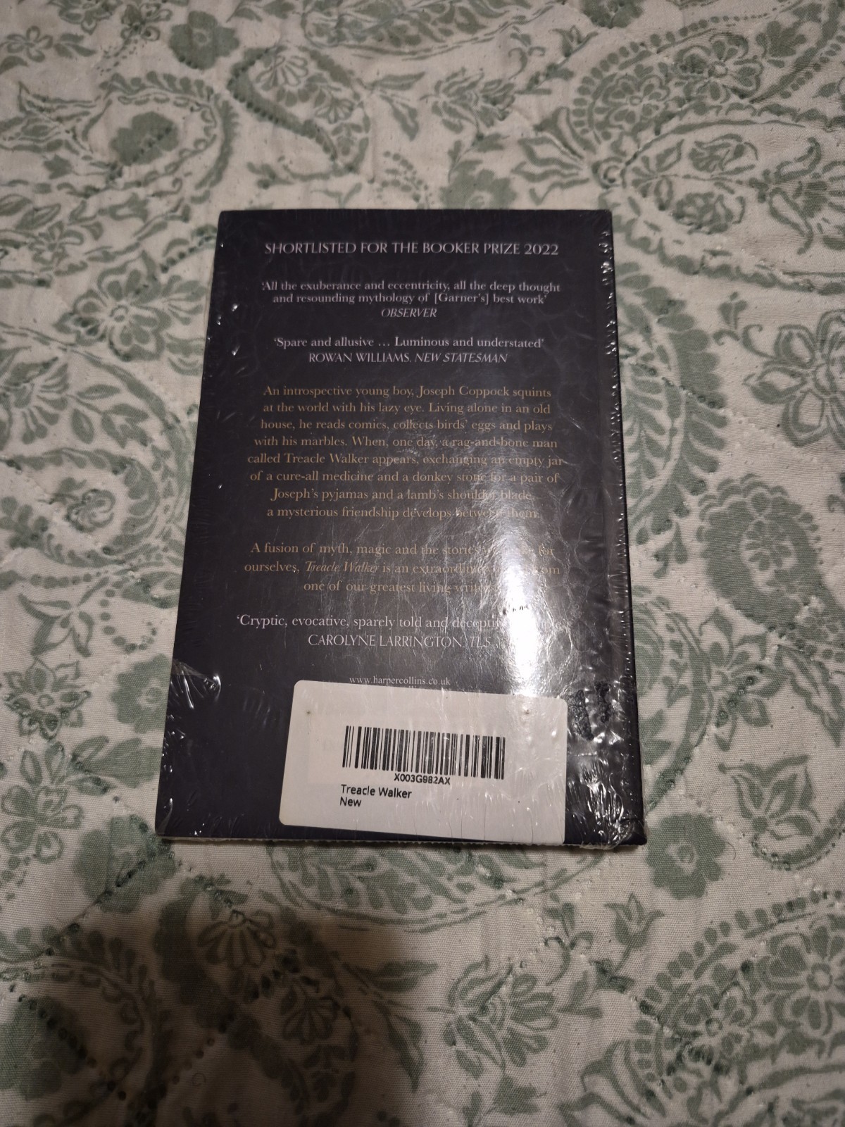 Treacle Walker Paperback Alan Garner