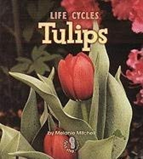 Tulips Paperback Melanie S. Mitchell
