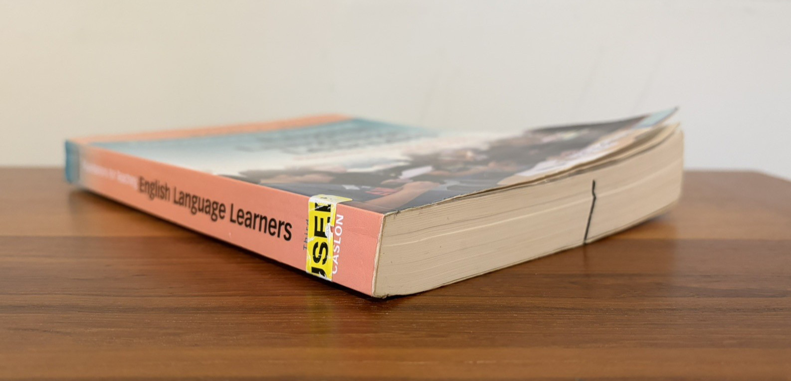 Foundations for Teaching English Language Learners 3rd Ed. by Wayne E. Wright