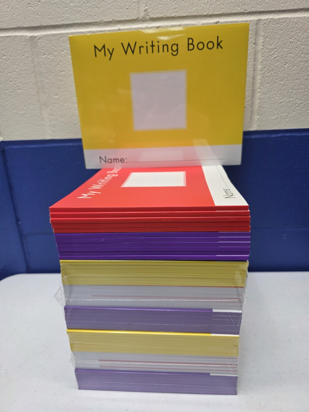 Lot of 53 – Fountas & Pinnell My Writing Book Leveled Literacy Intervention LLI