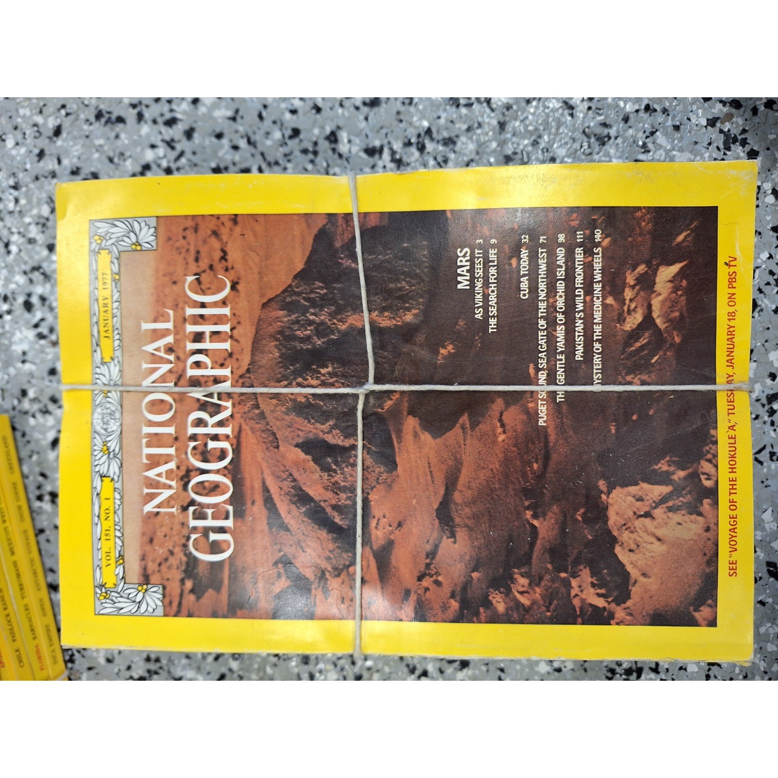 Vintage National Geographic Magazines 1977 Full Year 12 Issues January-December