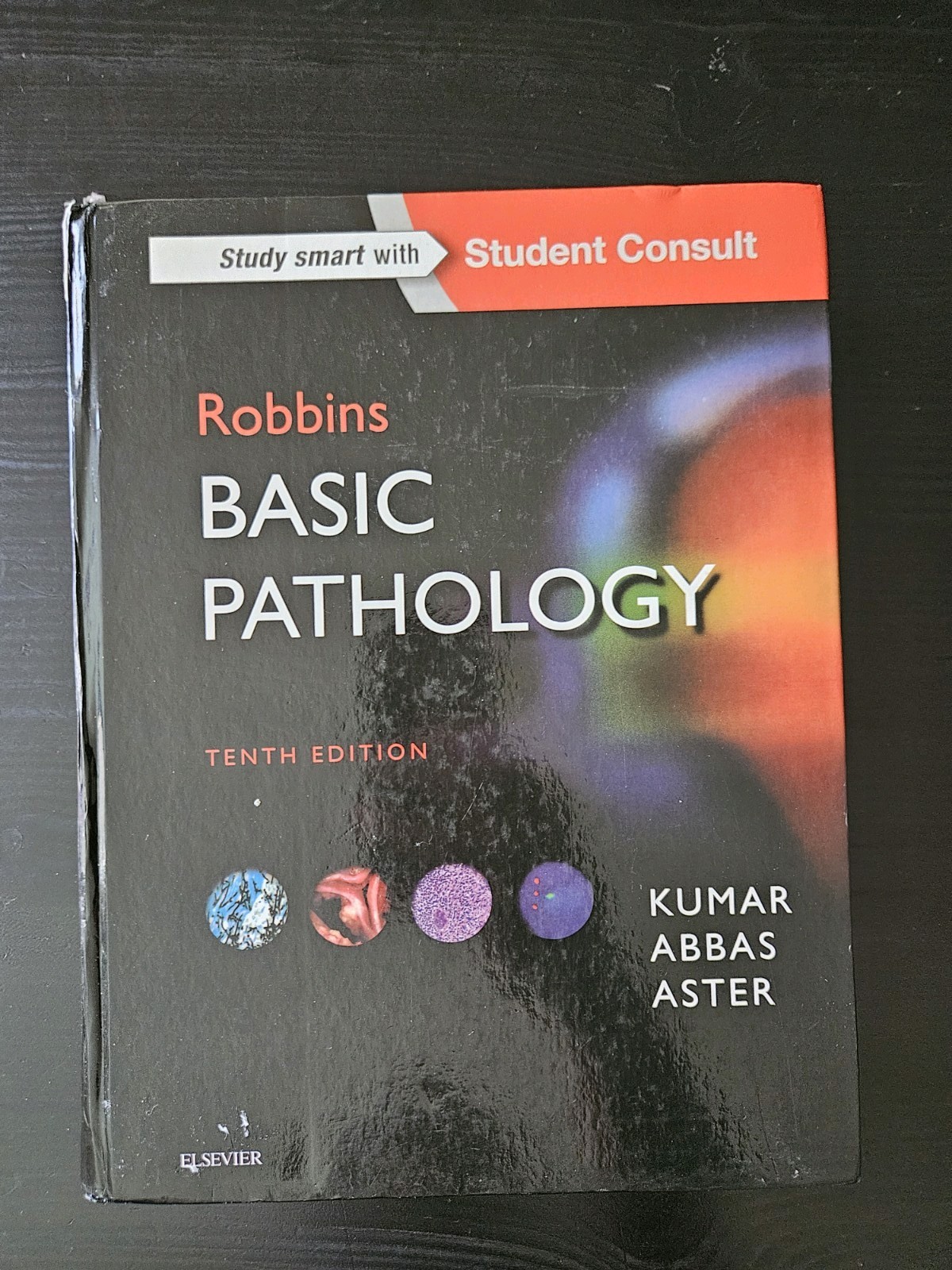 Robbins Basic Pathology 10th Edition Kumar Abbas Aster (Hardcover)