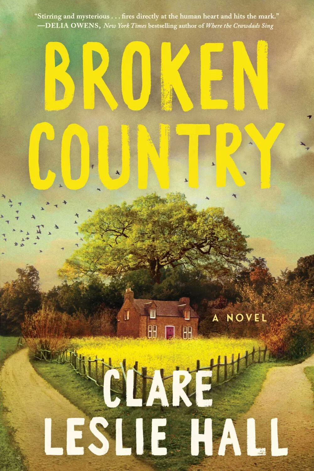 Broken Country : A Novel by Clare Leslie Hall (2025, Hardcover)