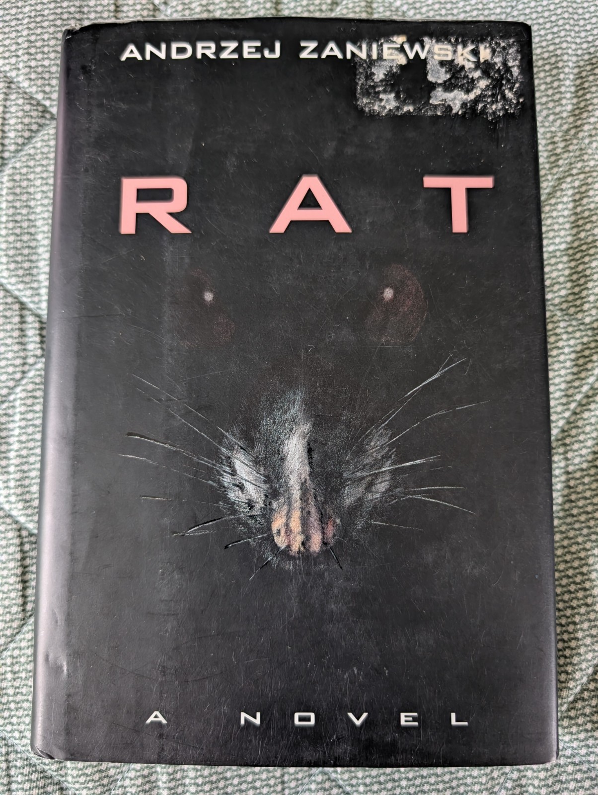 Rat by Andrej Zaniewski Hard Cover W/Dust Jacket 1st English Language Edition